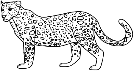 Cheetah Coloring Pages Hard - Coloring Pages For All Ages