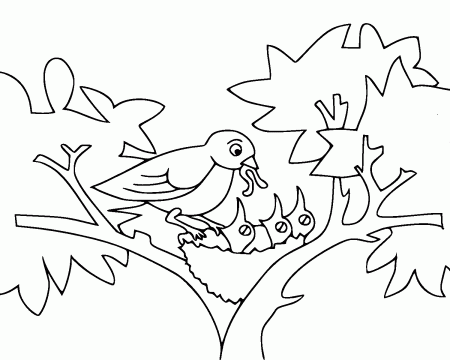 FUN FREE coloring pages for kids to color and print | Owl coloring pages,  Free coloring pages, Turkey coloring pages