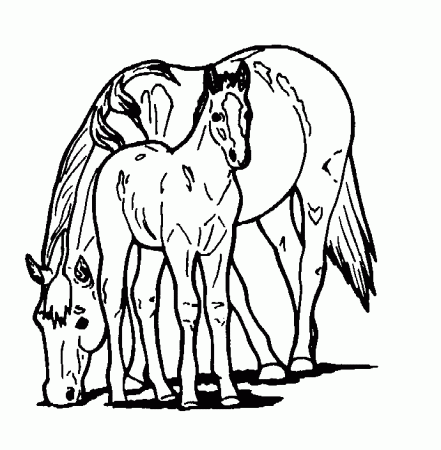 Free Horse Coloring Pages Printable | Free Coloring Pages
