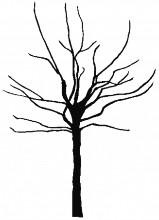 Tree Trunk Outline - Cliparts.co