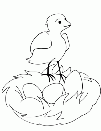 Bird Egg Coloring Page - Coloring Pages For All Ages