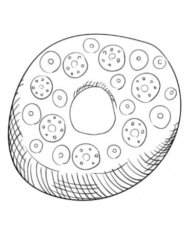 Cute Donut Coloring Pages Activity for Kids 20 Donuts to - Etsy Norway