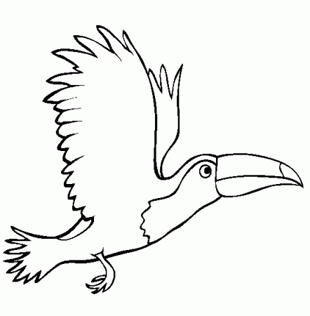 Tucan coloring page - Animals Town - animals color sheet - Tucan ...