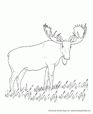 Realistic animal coloring page moose Moose and wolves in isle ...