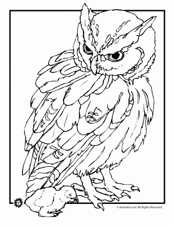 Animals coloring pages for free. Realistic Of Animals coloring ...