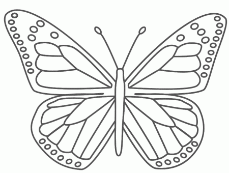 Monarch Butterfly - Coloring Page (