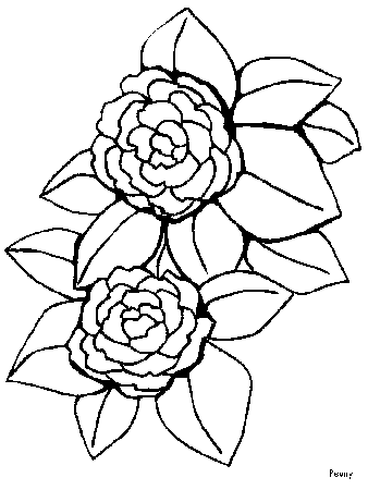 Peony Coloring Pages - Free Printable Coloring Pages for Kids