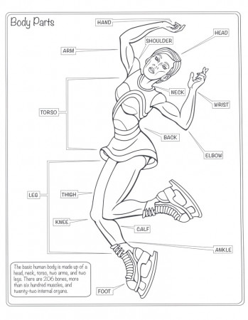 Body Parts Coloring Pages For Kids posted by Zoey Cunningham
