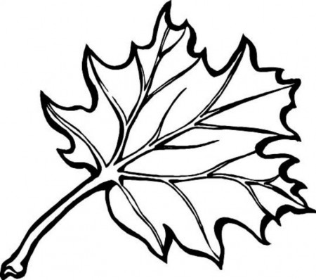 Leaf Coloring Pages Fall Leaves Coloring Pages Printable Leaf ...