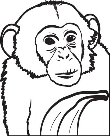 Chimpanzee with Jane Goodall Coloring Pages - Get Coloring Pages