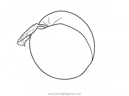 Nectarine 3 Coloring Page for Kids - Free Nectarine Printable Coloring Pages  Online for Kids - ColoringPages101.com | Coloring Pages for Kids