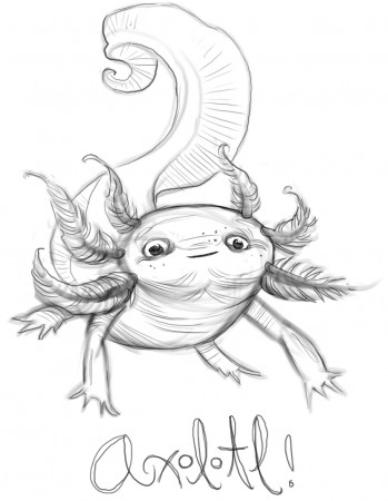 Axolotl coloring pages