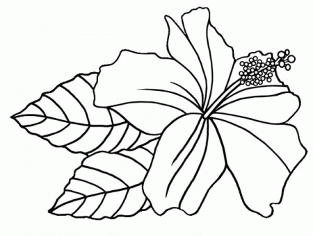 Print Out Coloring Pages Flowers - High Quality Coloring Pages