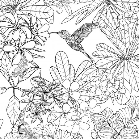 Amazon.com: Tropical Paradise Adult Coloring Book (31 stress-relieving  designs) (Studio): 9781441322883: Peter Pauper Press: Books