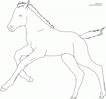 Cantering Foal Coloring Page