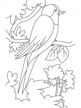 Black saw wing coloring page | Download Free Black saw wing coloring page  for kids | Best Coloring Pages