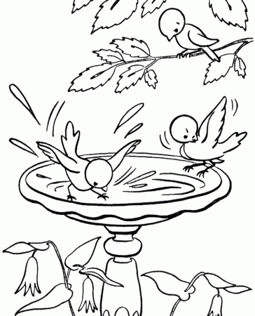 Birds drinking water coloring sheets - Topcoloringpages.net