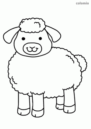 Sheeps coloring pages » Free & Printable » Sheep coloring sheets
