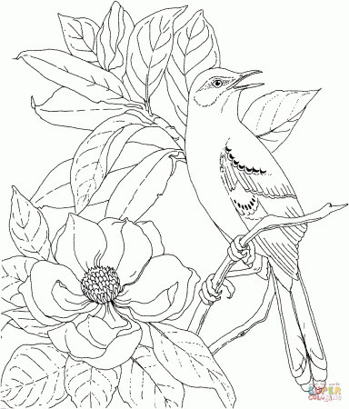 Mockingbird and Magnolia Mississippi State Bird and Flower coloring page |  Free Printable Coloring Pages