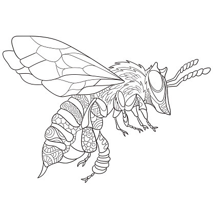 Hand Drawn Stylized Bee Insect Stock Illustration - Download Image Now -  iStock