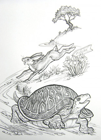 Pin The Hare Coloring Pages For Free Tortoise And