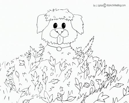 4 {Free Printable} Fall Coloring Pages