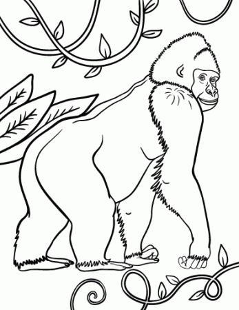 Free Gorilla Coloring Page