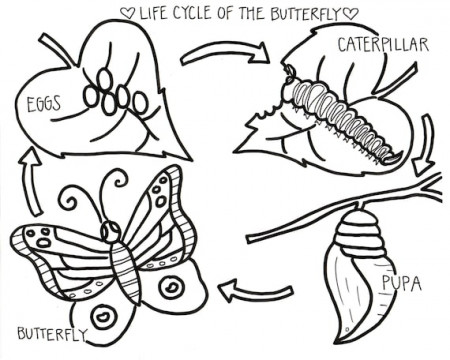 Coloring Pages/ Coloring Pages for Kids/ Coloring Pages - Etsy