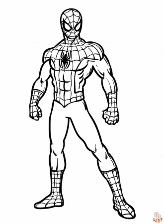 Spiderman Coloring Pages: Free ...