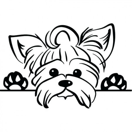 Yorkie Coloring Pages - Best Coloring Pages For Kids