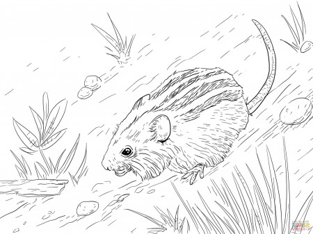 Mouse Holds A Cheese coloring page | Free Printable Coloring Pages