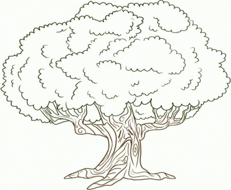 Tree Coloring Pages Pictures Coloring Pages Of Flowers And Trees ...