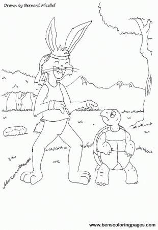 The tortoise and the hare fairy tale