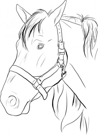 Horse Head Coloring Page