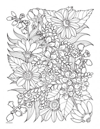 Wild Flowers - Hand Drawn Adult Coloring Sheet | 2018 Art ...
