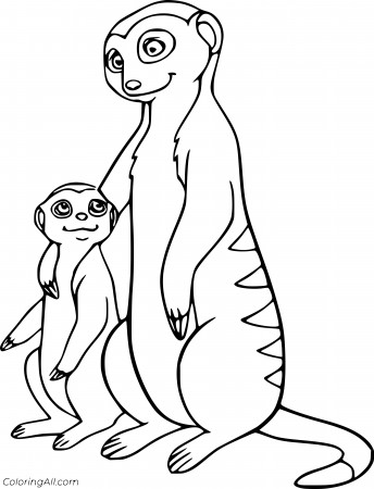 Coloring pages. Mother meerkat with ... | Stock vector ...