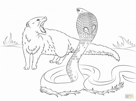 Coloring Pages Realistic Animals | Animal coloring pages, Animal ...