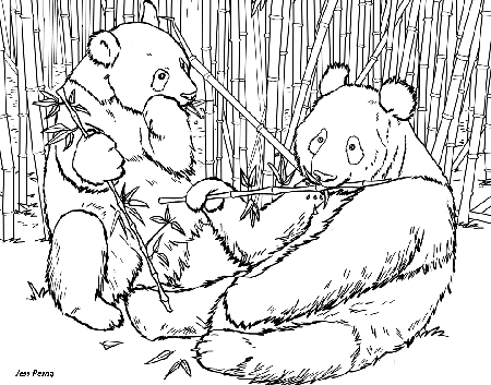 Panda Bear Coloring Pages | Coloring Pages