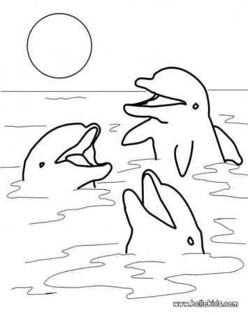 DOLPHIN coloring pages - Three playing dolphins