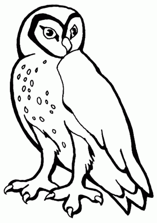 Coloring page: Owl | Free printable downloads from ChoreTell