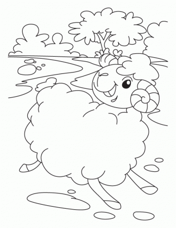 sheep coloring page printable jumbo