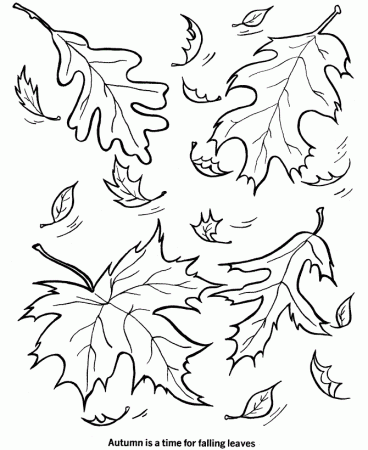 Printable-Leaf-Coloring-Page-818×1024 | COLORING WS
