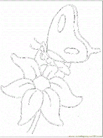 printable coloring page flower pages ws natural world