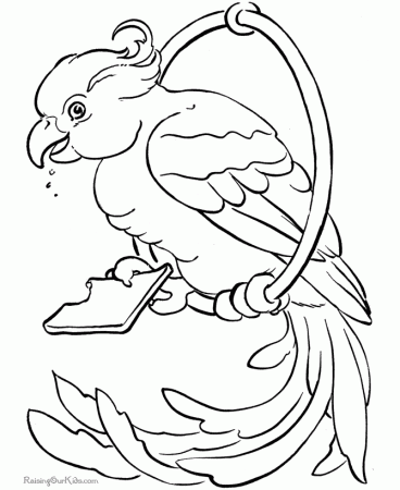 Parrot Bird - Bird Coloring Pages : Coloring Pages for Kids 