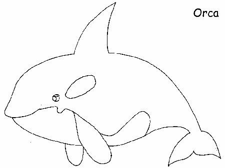 Printable Ocean Orca Animals Coloring Pages - Coloringpagebook.com