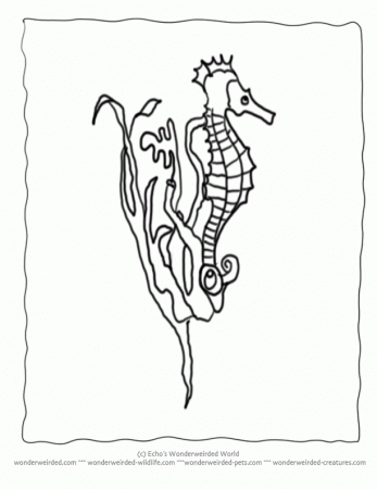 SEAWEED Colouring Pages (page 2)
