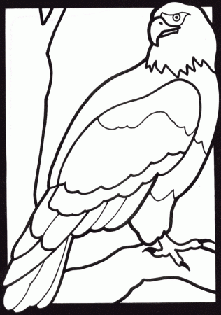 eagle coloring page animals town color sheet