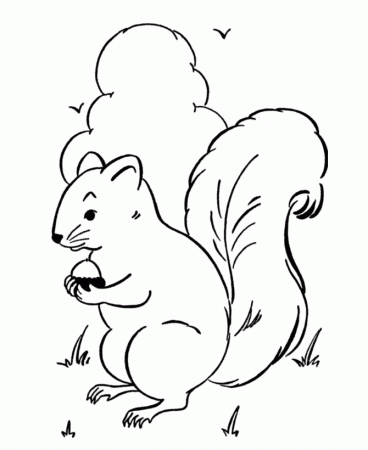 Spring Scenes Coloring Page 23 - Squirrel Coloring Sheets: Bluebonkers