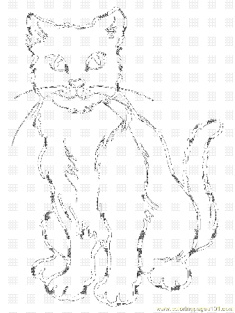 cats 17 Colouring Pages