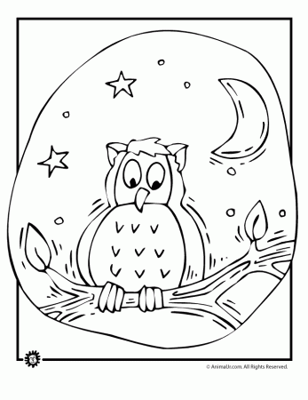 Owl Coloring Pages 614 | Free Printable Coloring Pages